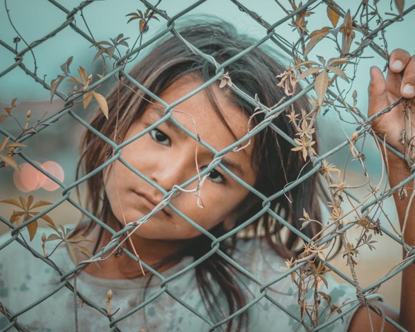 Portfolio Image
